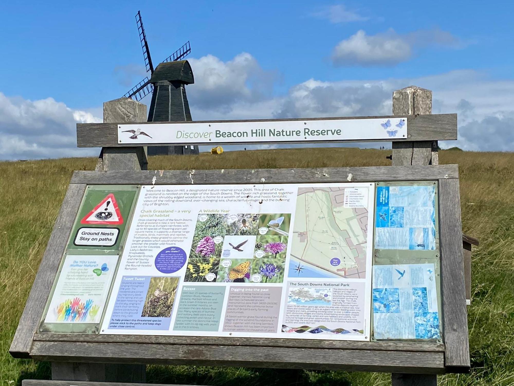 ברייטון Rottingdean Boutique Studio Apartment By The Sea מראה חיצוני תמונה